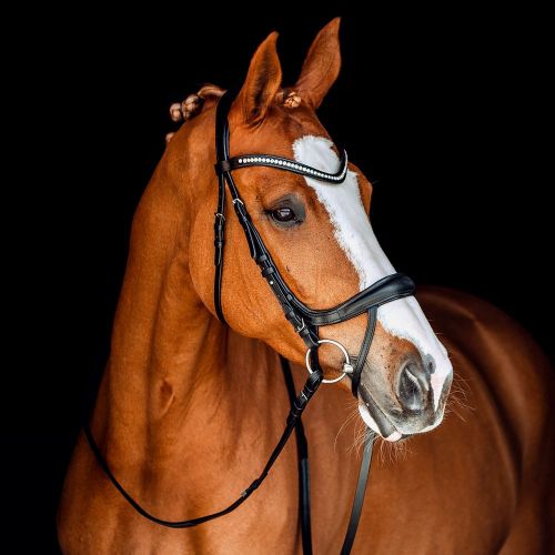 Horze Luton Bridle