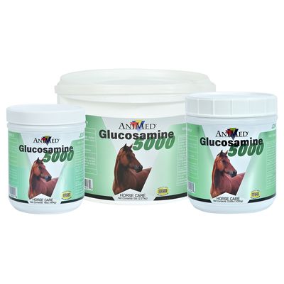 Glucosamine 5000