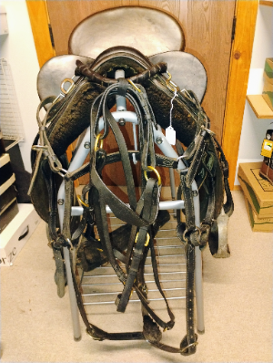 Survivor Australian Saddle