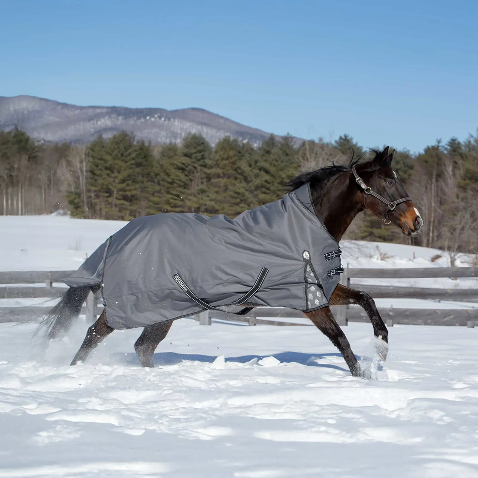 Equinavia Arktis heavyweight turnout Blanket