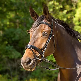 English Tack
